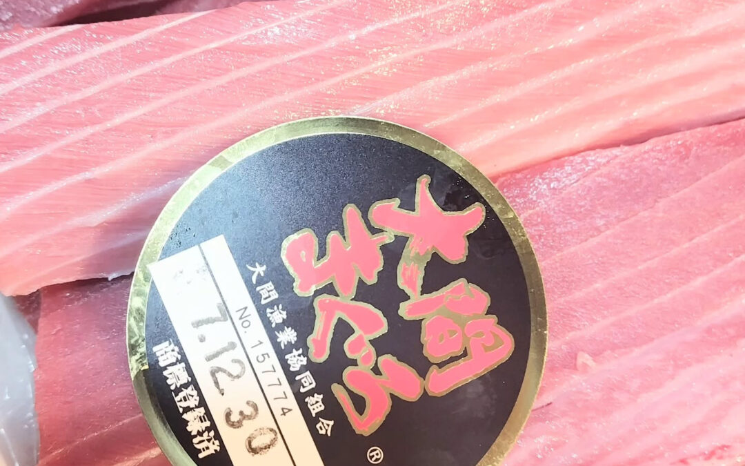 大間のマグロ　入荷しました