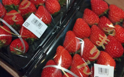 今年初あまりん(笑)